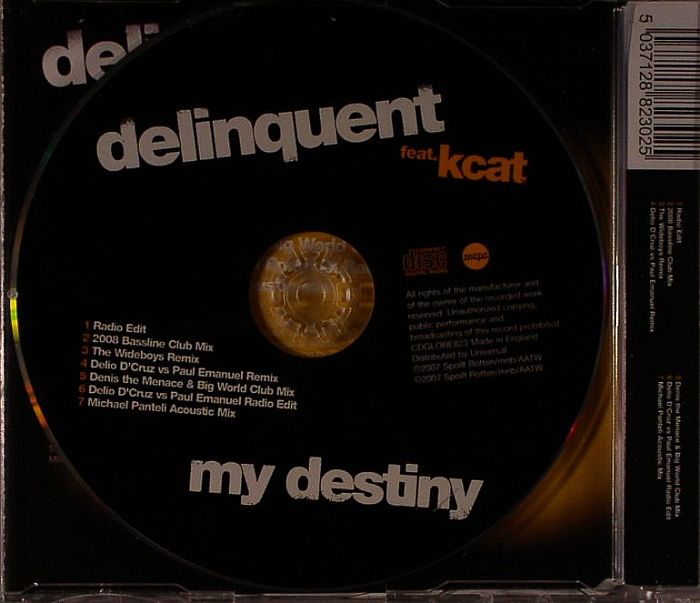 DELINQUENT feat KCAT - My Destiny