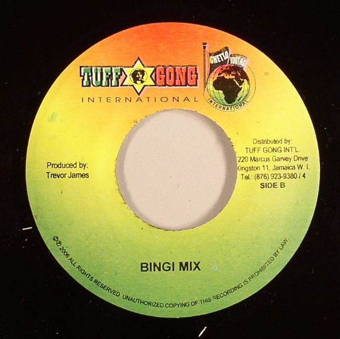 MARLEY, Damian Jr Gong/STEPHEN MARLEY - Mission (Riddim)