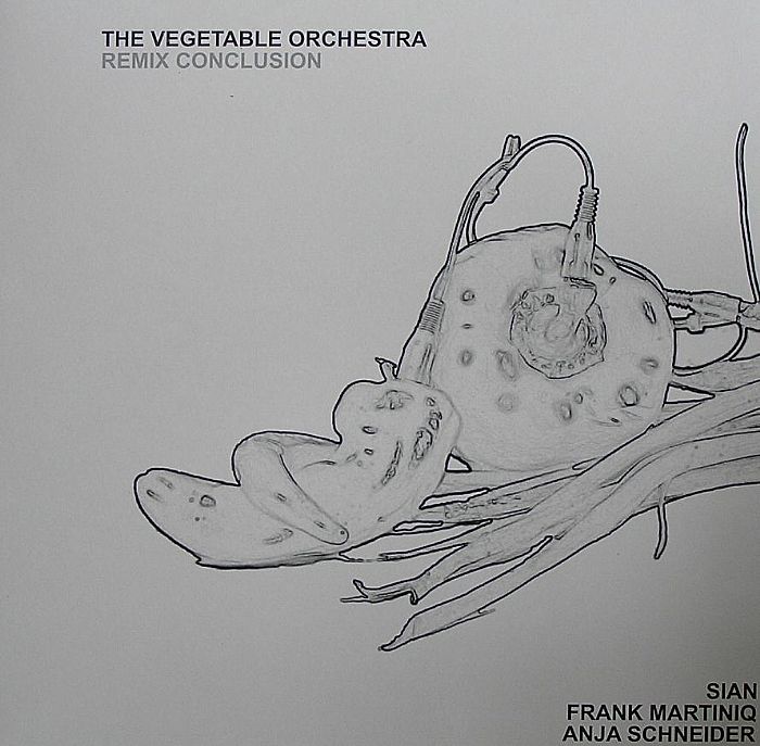VEGETABLE ORCHESTRA, The - Remix Conclusion
