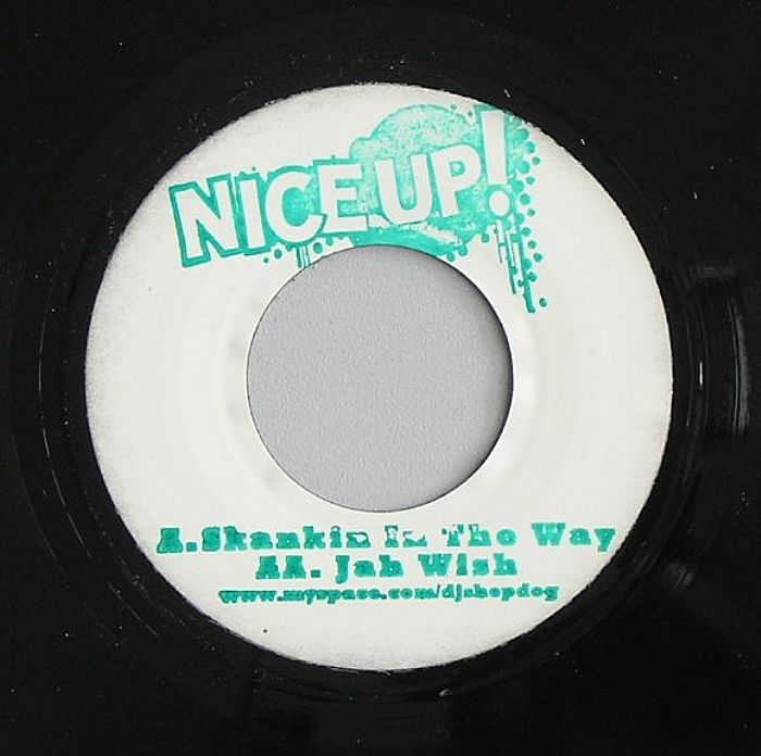 NICE UP! - Skankin In The Way Of Control