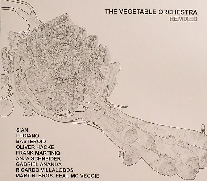 VEGETABLE ORCHESTRA, The - Remixed