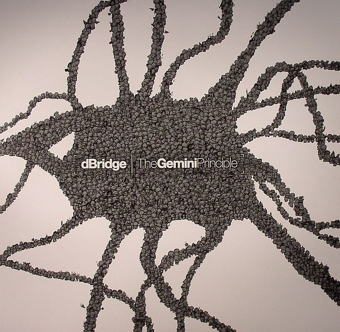D BRIDGE - The Gemini Principle