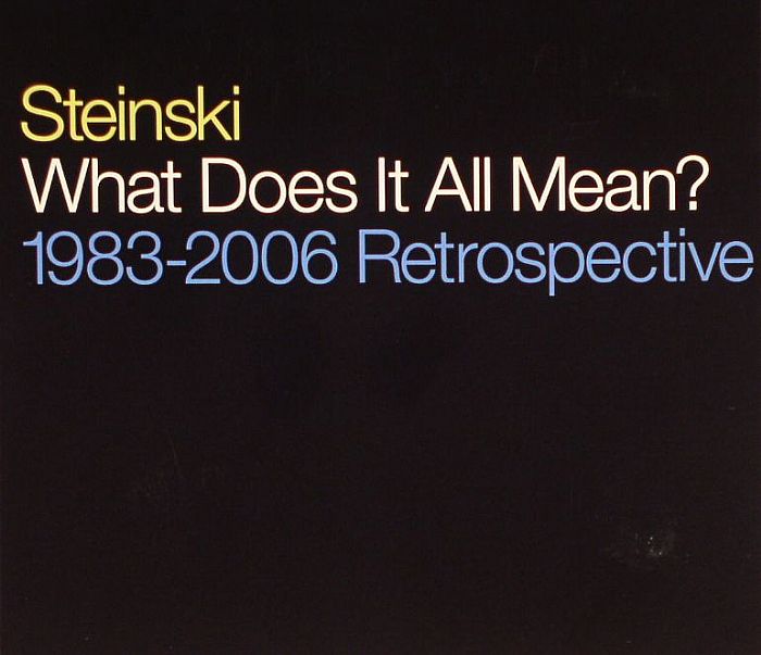 STEINSKI - What Does It All Mean? 1983-2006 Retrospective
