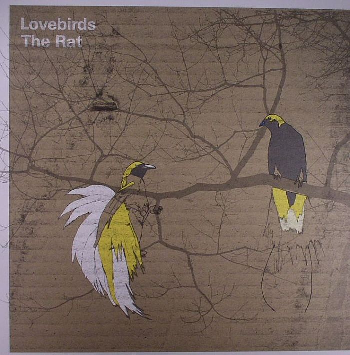 LOVEBIRDS - The Rat