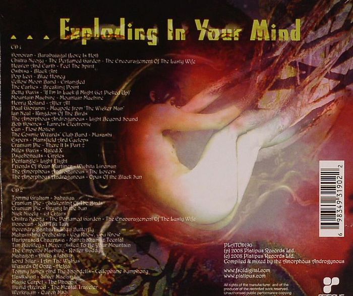 AMORPHOUS ANDROGYNOUS, The/VARIOUS - A Monstrous Psychedelic Bubble Vol 1: Cosmic Space Music