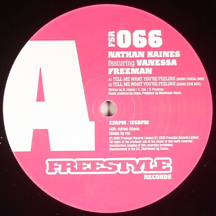 HAINES, Nathan feat VANESSA FREEMAN - Tell Me What You're Feeling