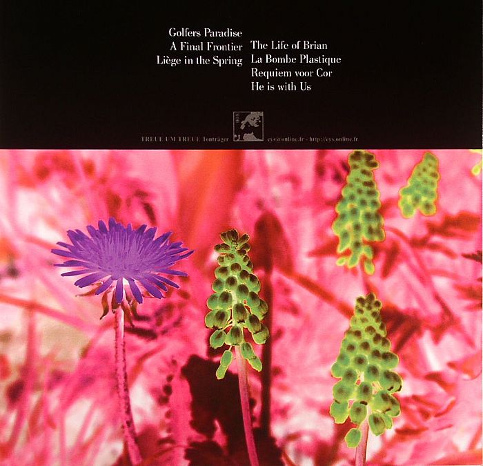 DR C STEIN - Leige In The Spring