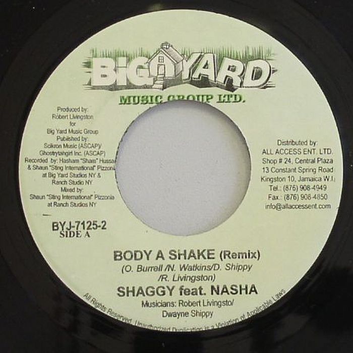 SHAGGY/NASHA - Body A Shake (remix)