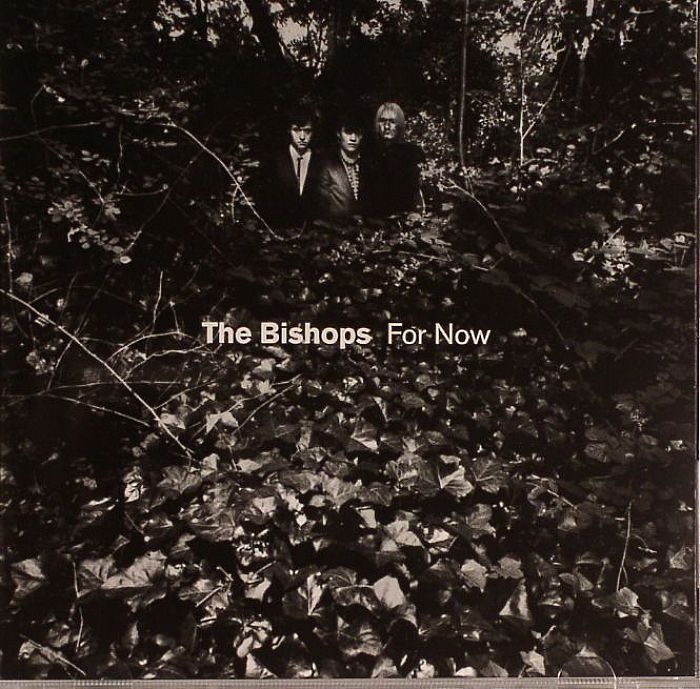BISHOPS, The - For Now