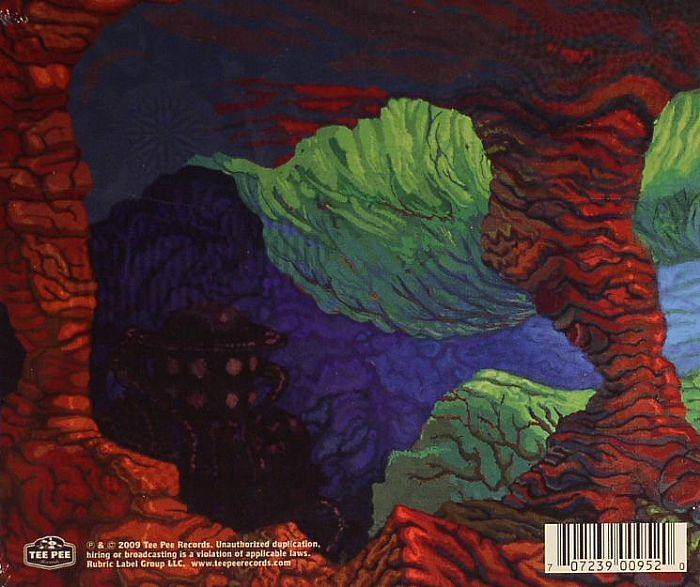 ASSEMBLE HEAD IN SUNBURST SOUND - When Sweet Sleep Returned