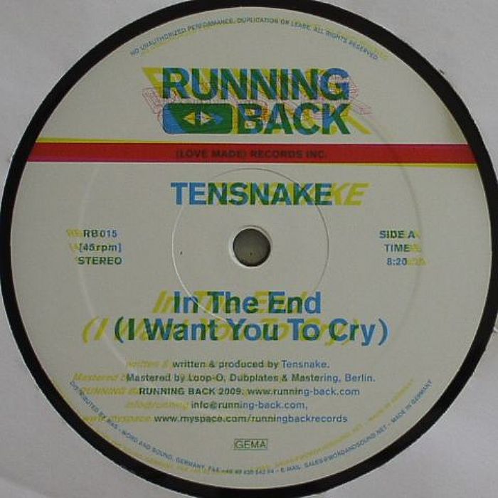 TENSNAKE - In The End (I Want You To Cry)