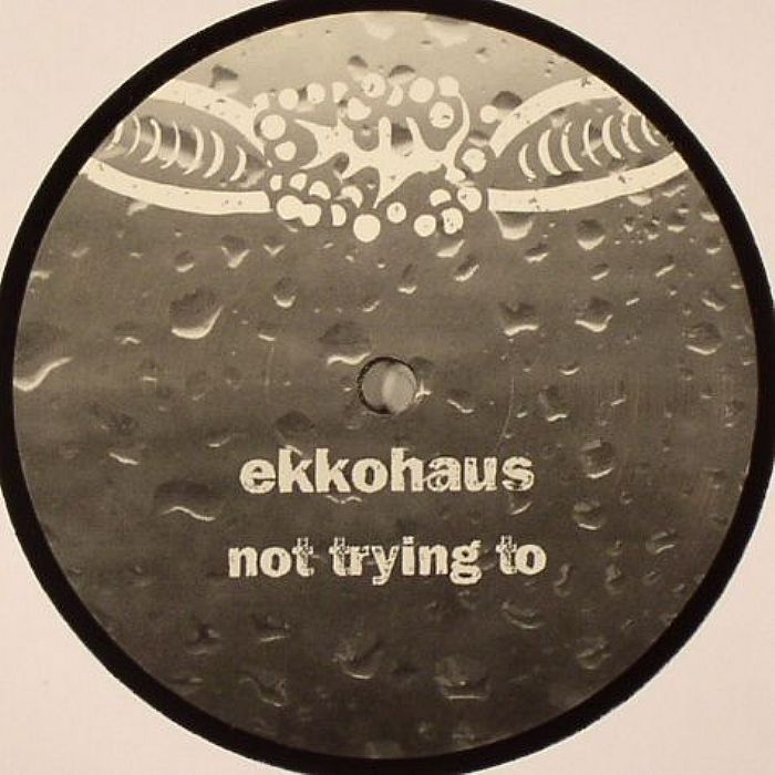 EKKOHAUS - Not Trying To