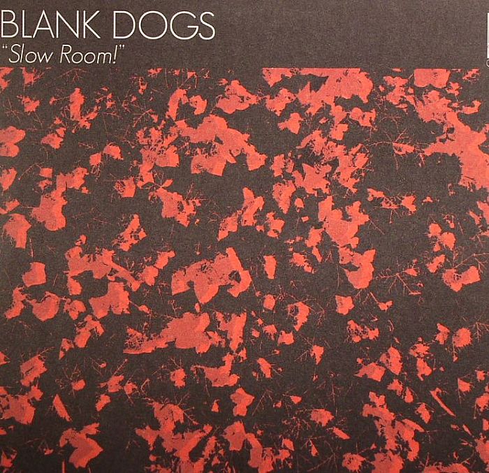 BLANK DOGS - Slow Room!