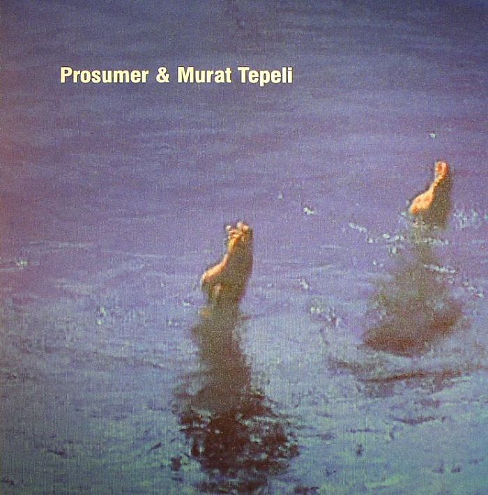 PROSUMER/MURAT TEPELI - U & I
