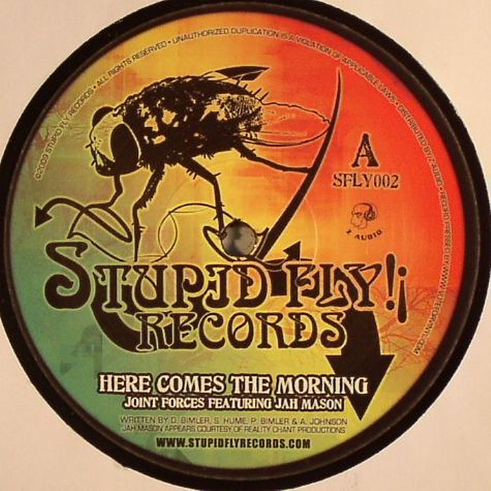 JOINT FORCES feat JAH MASON/DUBWIZE - Here Comes The Morning