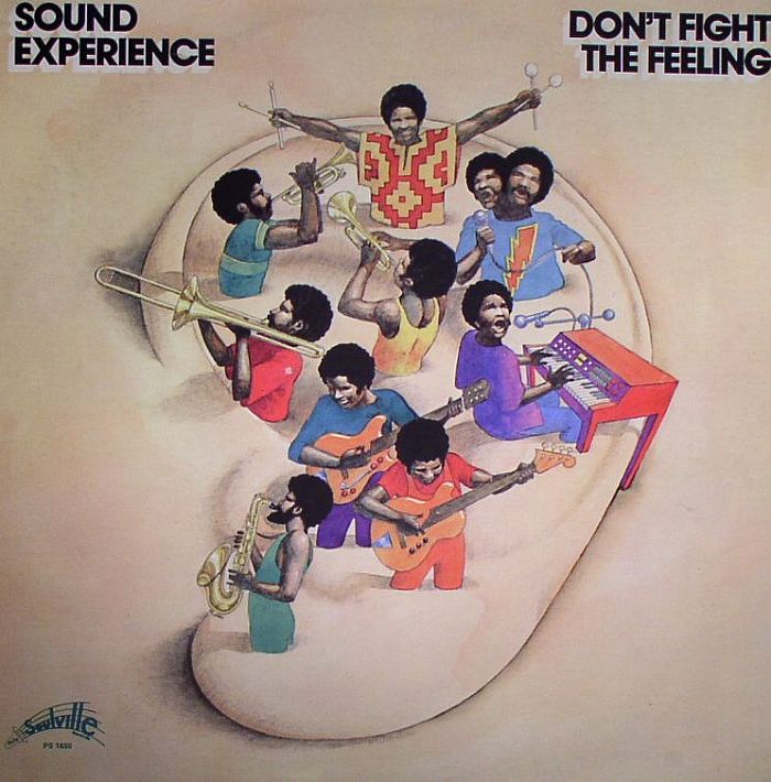 SOUND EXPERIENCE - Don't Fight The Feeling