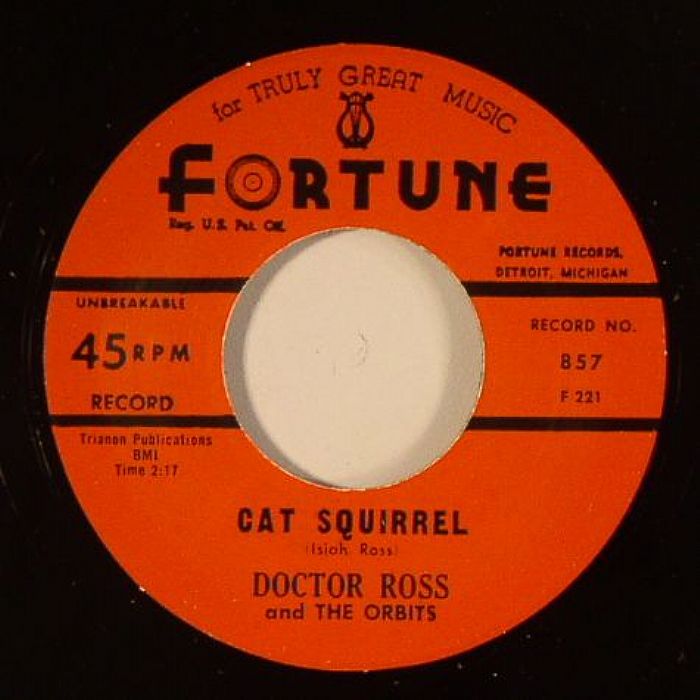 DOCTOR ROSS & THE ORBITS - Cat Squirrel
