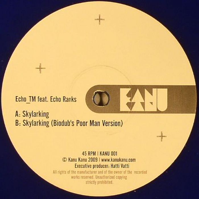 ECHO TM feat ECHO RANKS - Skylarking