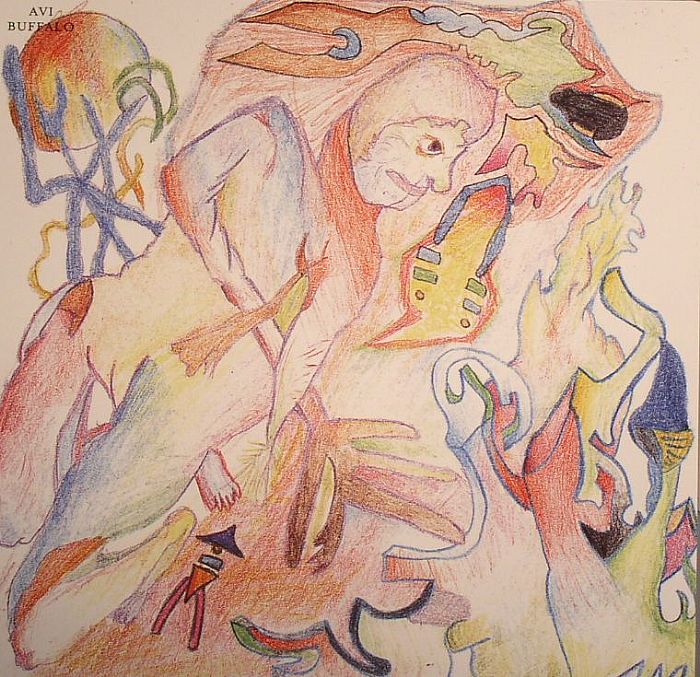 Avi Buffalo – What's In It For? vinyl cover