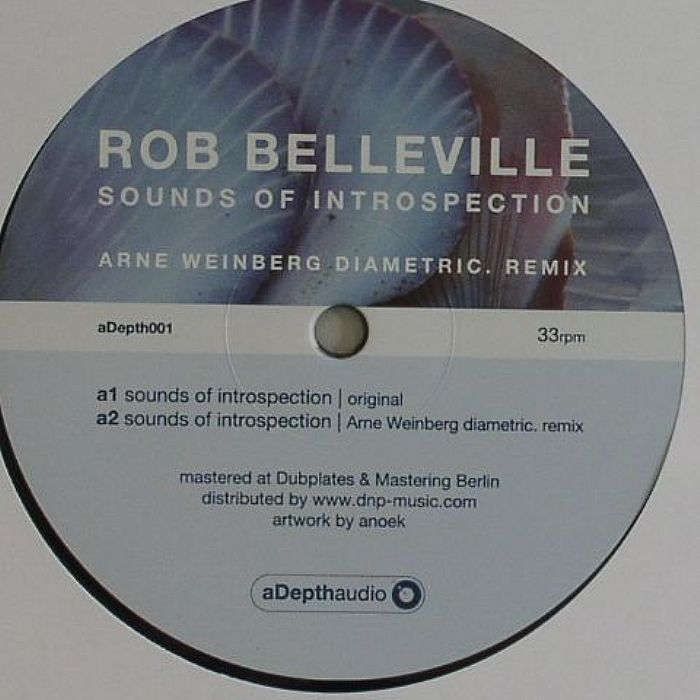BELLEVILLE, Rob - Sounds Of Introspection