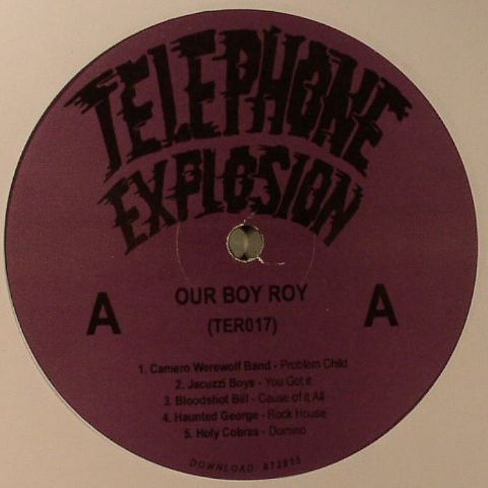 VARIOUS - Our Boy Roy