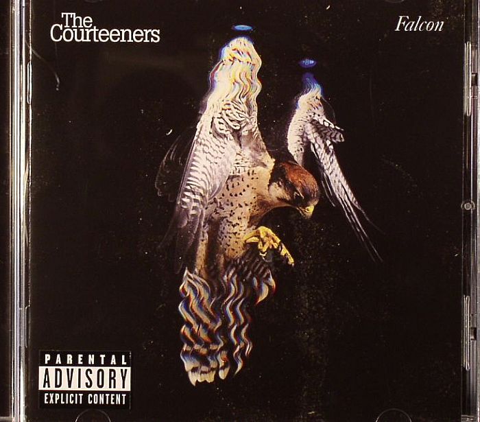 COURTEENERS, The - Falcon