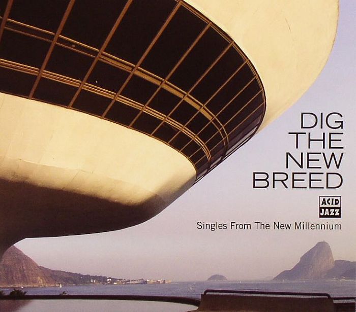 VARIOUS - Dig The New Breed