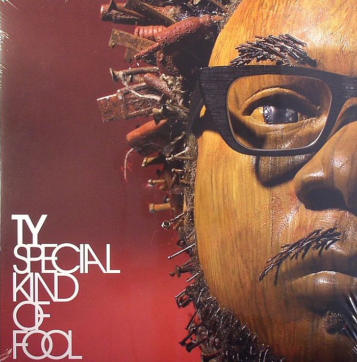 TY - Special Kind Of Fool