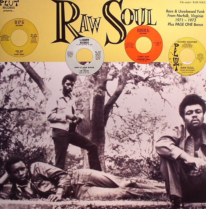 VARIOUS - Raw Soul :Rare & Unreleased Funk From Norfolk Virginia 1971 - 1973