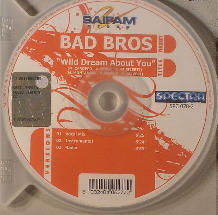 BAD BROS - Wild Dream About You