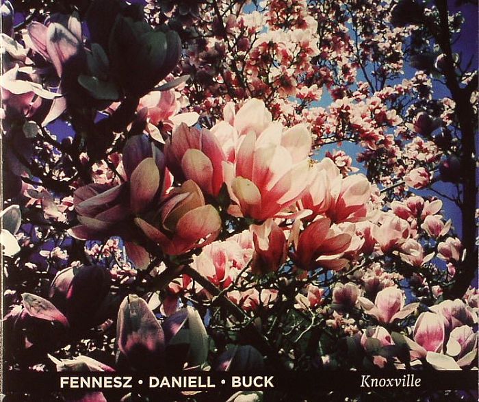 FENNESZ/DANIELL/BUCK - Knoxville