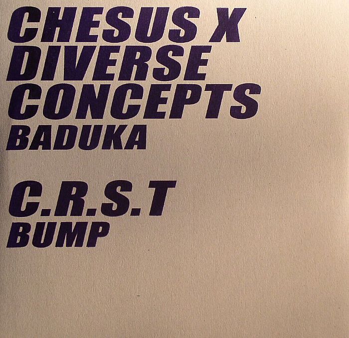 CHESUS X DIVERSE CONCEPTS/CRST - Baduka