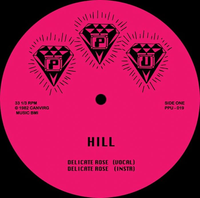 HILL/ROSHELL ANDERSON - Delicate Rose