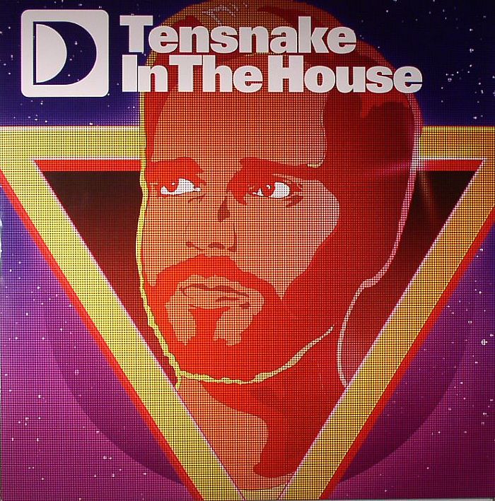 TENSNAKE/AL USHER/LOUIE BALO GUZMAN/TOM DEMAC/MICHAEL MAYER - Tensnake In The House EP 2