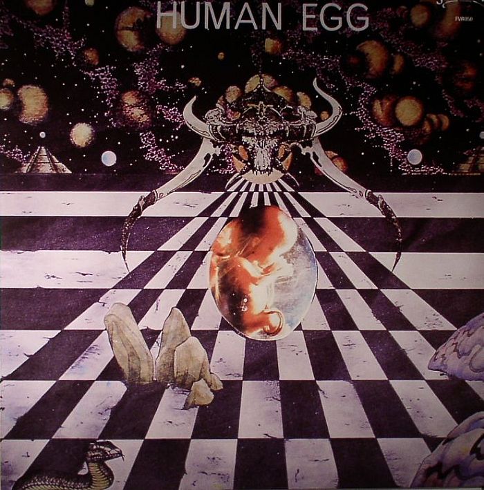 HUMAN EGG - Human Egg