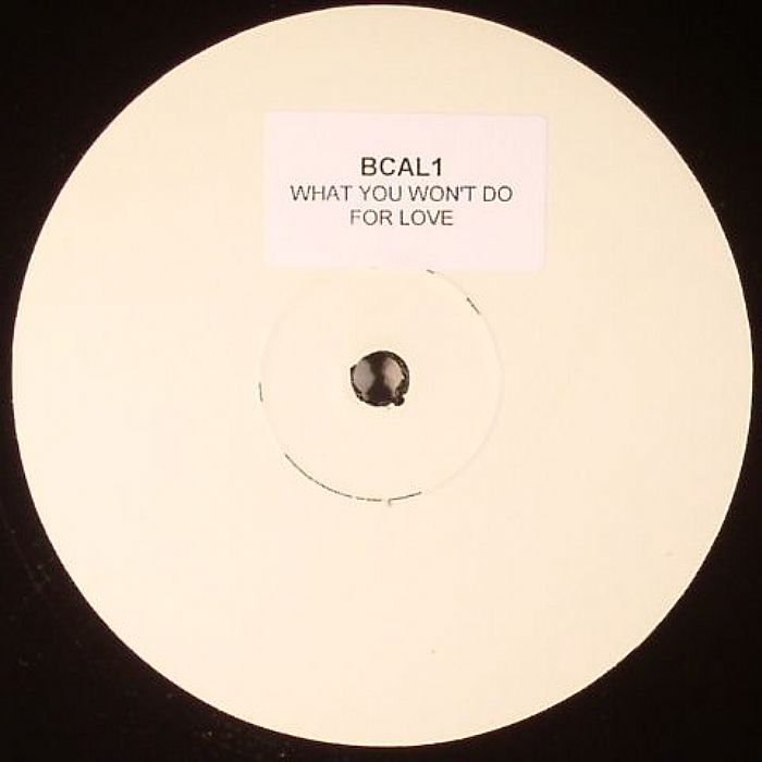 WHAT YOU WON'T DO FOR LOVE - What You Won't Do For Love