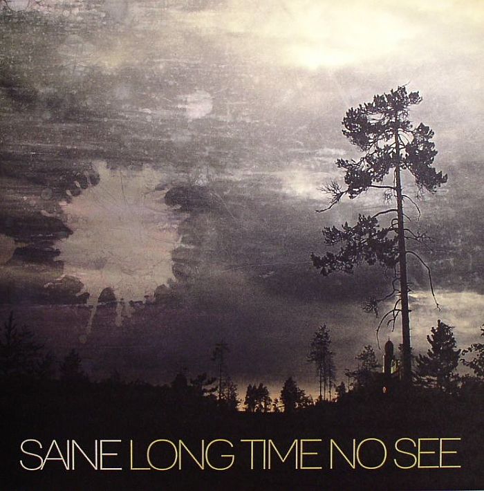 SAINE - Long Time No See