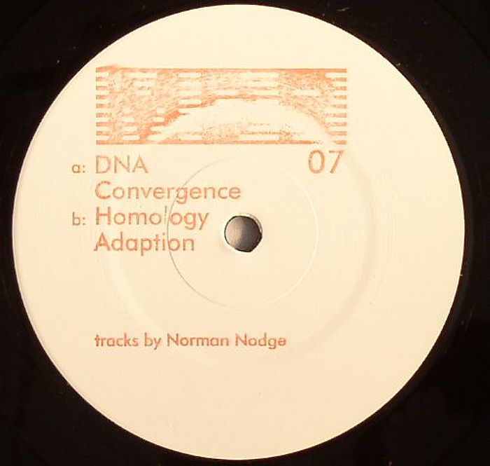 NODGE, Norman - DNA