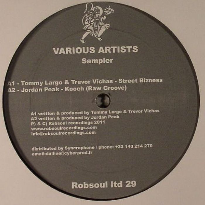 LARGO, Tommy/TREVOR VICHAS/JORDAN PEAK/KOOCH/BETAMAX/MIRCO VIOLI/SERCAN - Robsoul Ltd Sampler 29