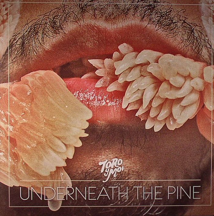TORO Y MOI - Underneath The Pine