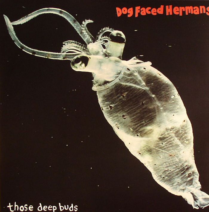 DOG FACED HERMANS - Those Deep Buds