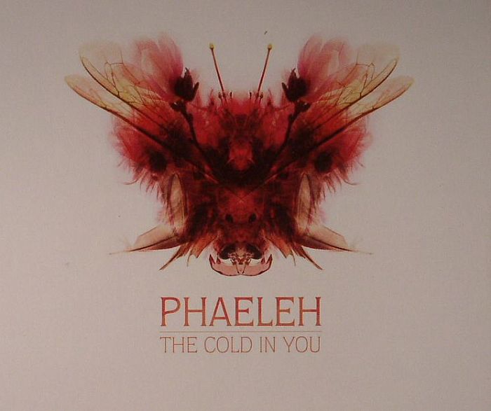 PHAELEH - The Cold In You