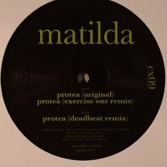 MATILDA - Protea