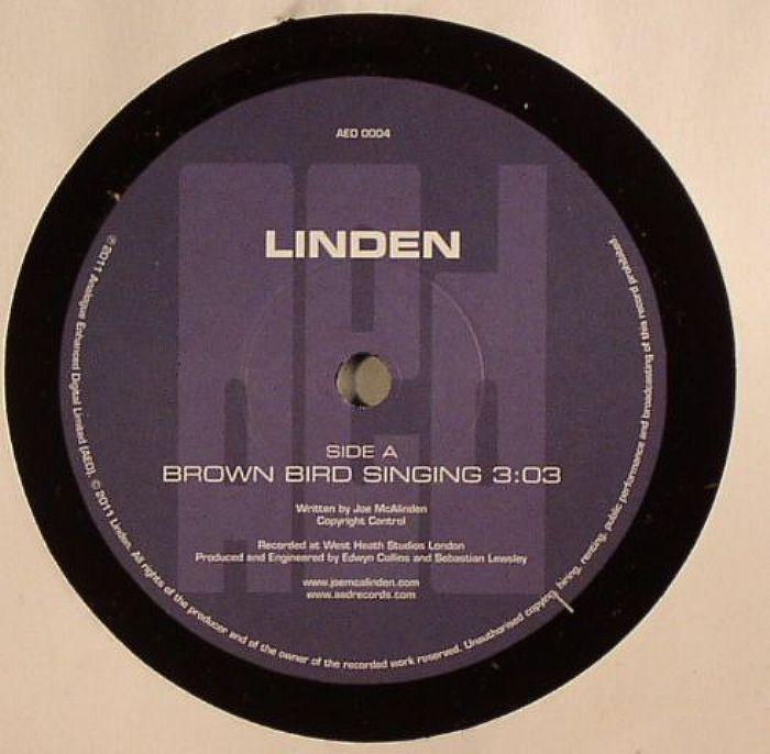 LINDEN - Brown Bird Singing
