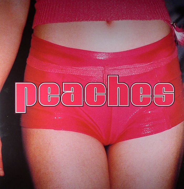 PEACHES - The Teaches Of Peaches