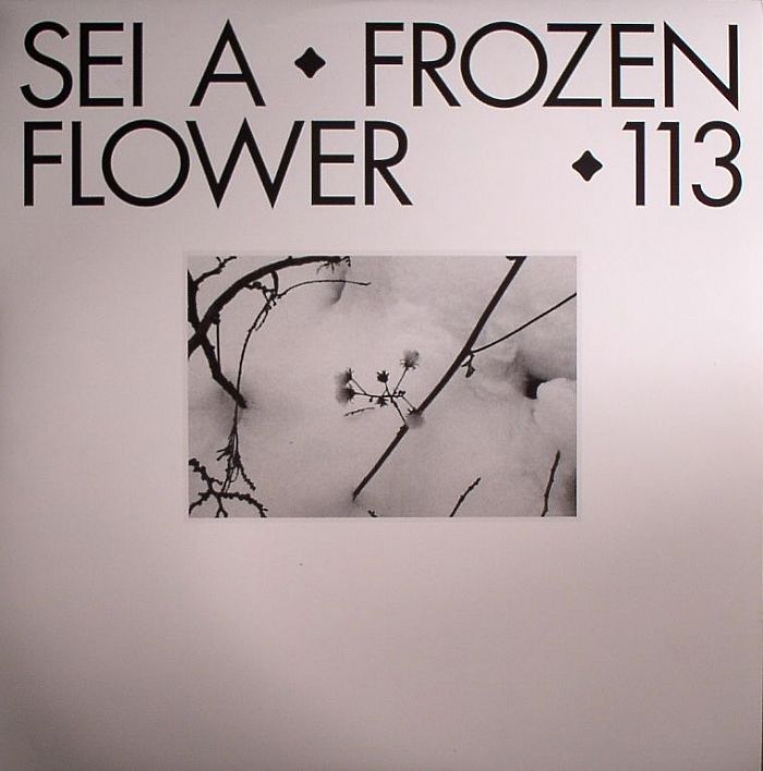 SEI A - Frozen Flower
