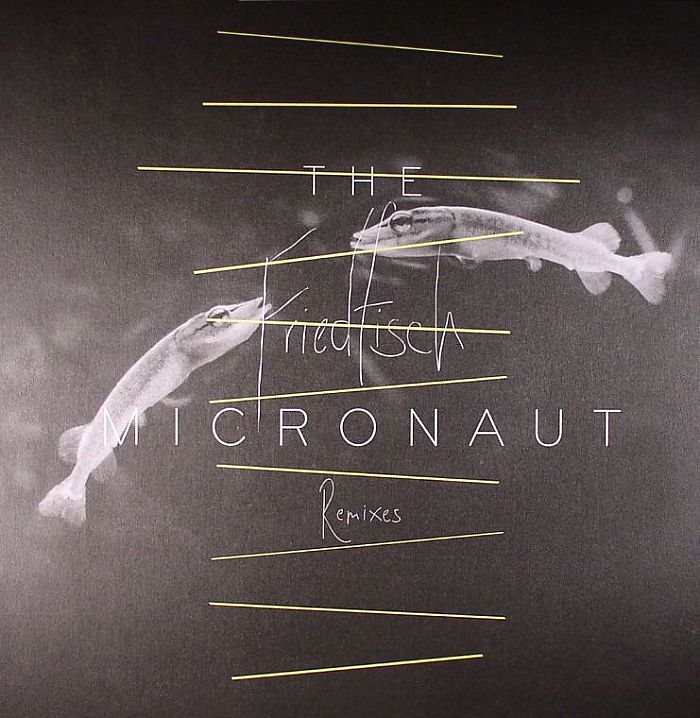 MICRONAUT, The - Friedfisch Remixes
