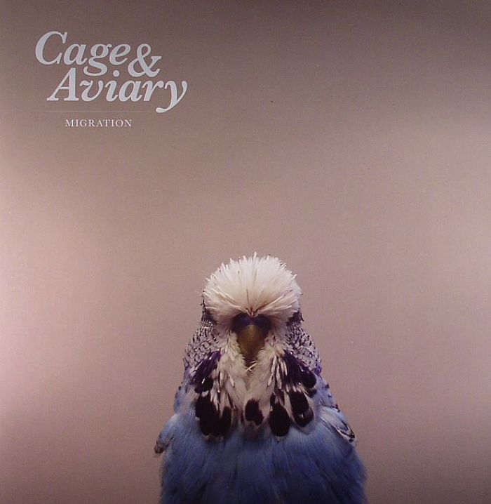 CAGE & AVIARY - Migration