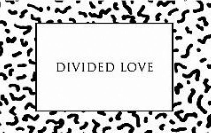 AVERY, Daniel aka STOPMAKINGME/VARIOUS - Divided Love