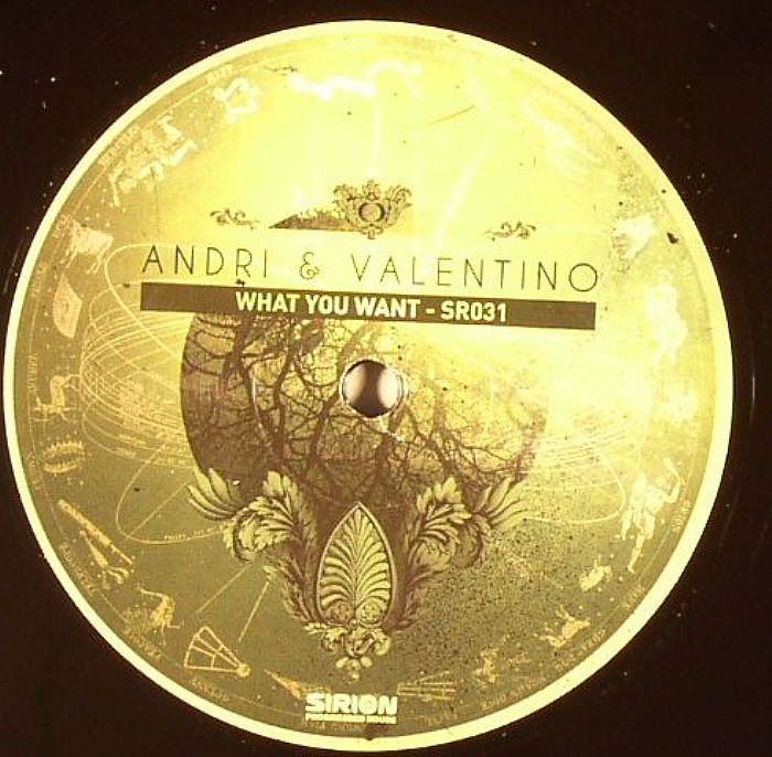 ANDRI/VALENTINO - What You Want